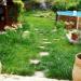 juin au jardin